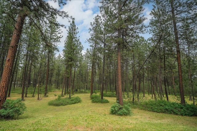 9114 S Thomas Mallen Rd, Cheney, WA 99004