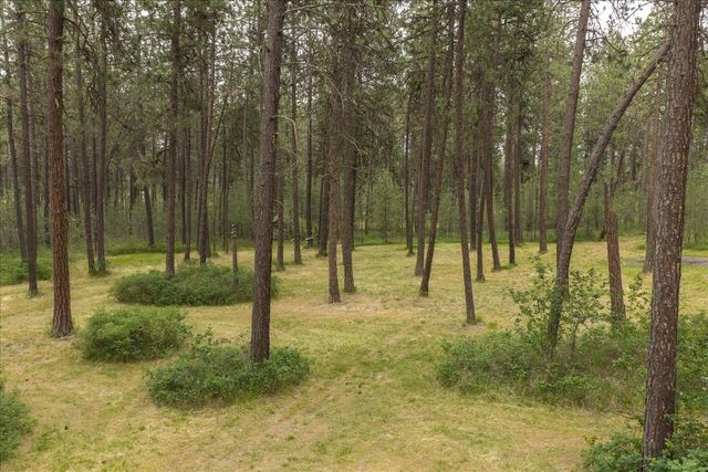 9114 S Thomas Mallen Rd, Cheney, WA 99004