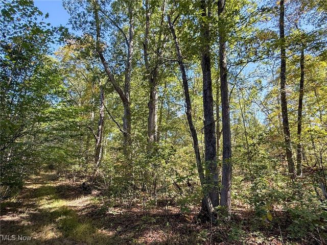 Layman Rd, Vincent, OH 45784