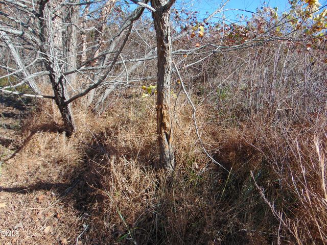 00 Antioch Church Road, Roxboro, NC 27583