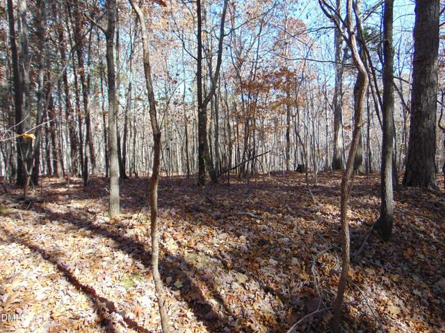 00 Antioch Church Road, Roxboro, NC 27583