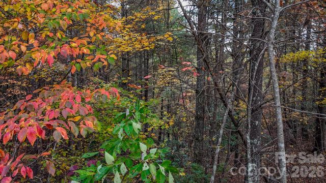00 Carsons Way 58, Collettsville, NC 28611