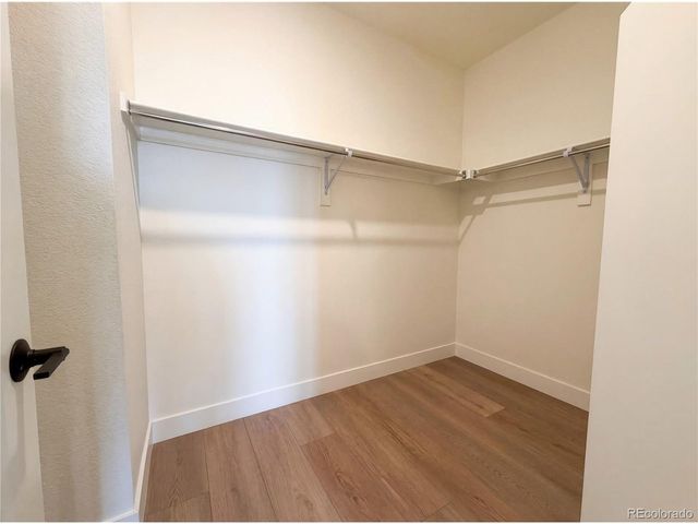 8704 Arriba Dr, Littleton, CO 80125