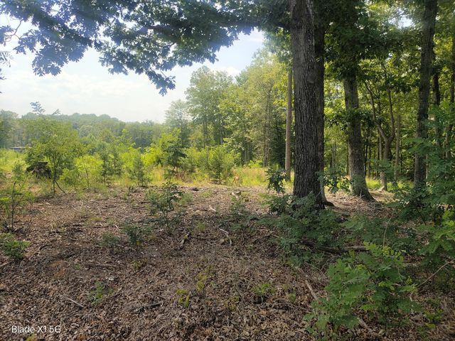 Lot 22 Jefferson Dock RD, Penhook, VA 24137