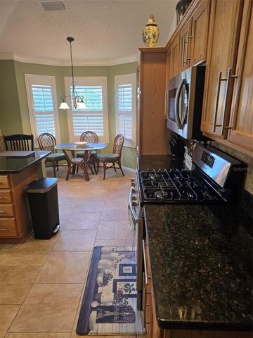 17656 SE 80TH ALTAMAHA COURT, The Villages, FL 32162