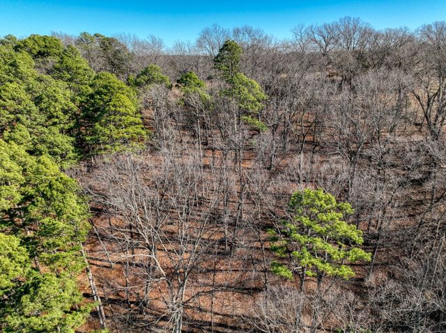 347 Ridgeline Road, Eureka Springs, AR 72632