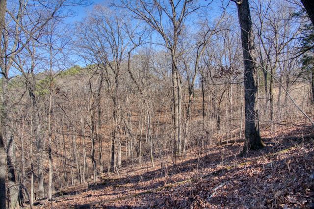 347 Ridgeline Road, Eureka Springs, AR 72632