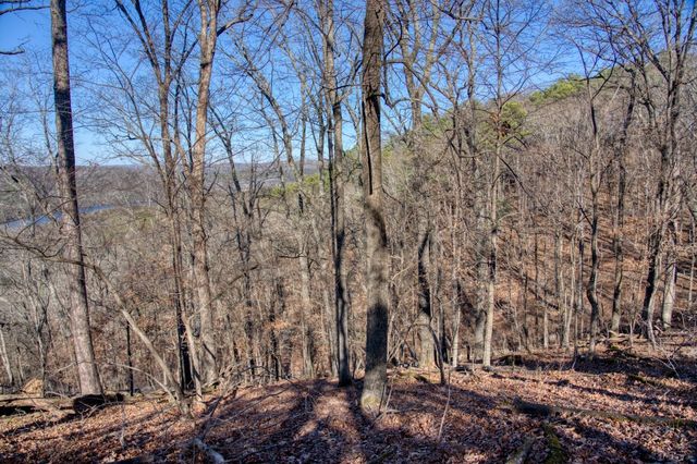 347 Ridgeline Road, Eureka Springs, AR 72632