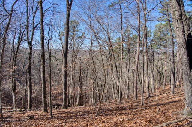 347 Ridgeline Road, Eureka Springs, AR 72632