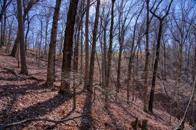 347 Ridgeline Road, Eureka Springs, AR 72632