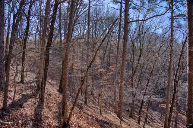 347 Ridgeline Road, Eureka Springs, AR 72632