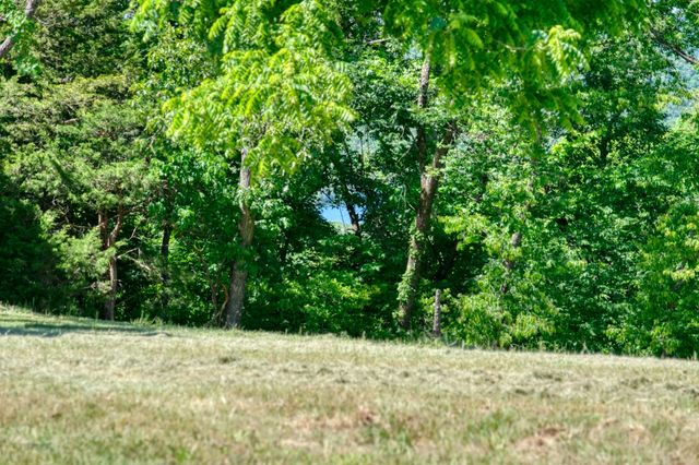 347 Ridgeline Road, Eureka Springs, AR 72632