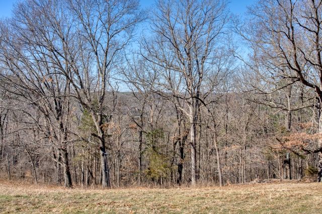 347 Ridgeline Road, Eureka Springs, AR 72632
