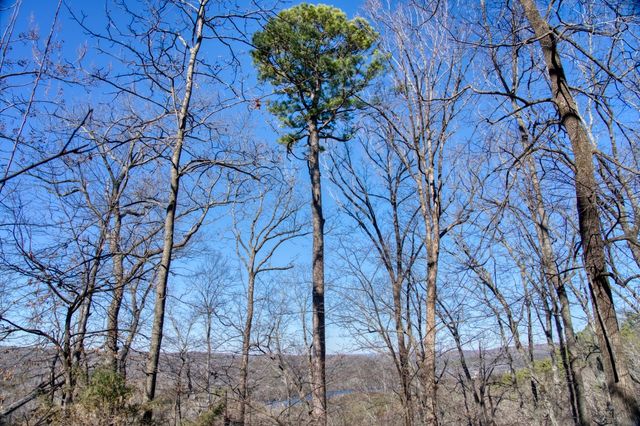 347 Ridgeline Road, Eureka Springs, AR 72632