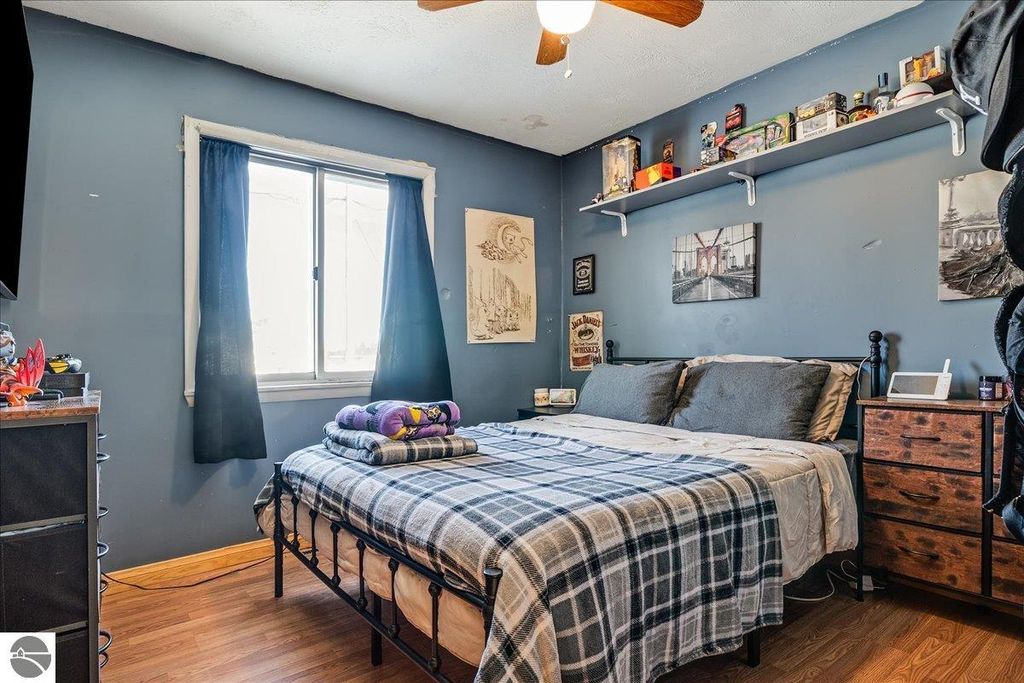 Image 21 of property listing at 316 E Main, Hale, MI 48739