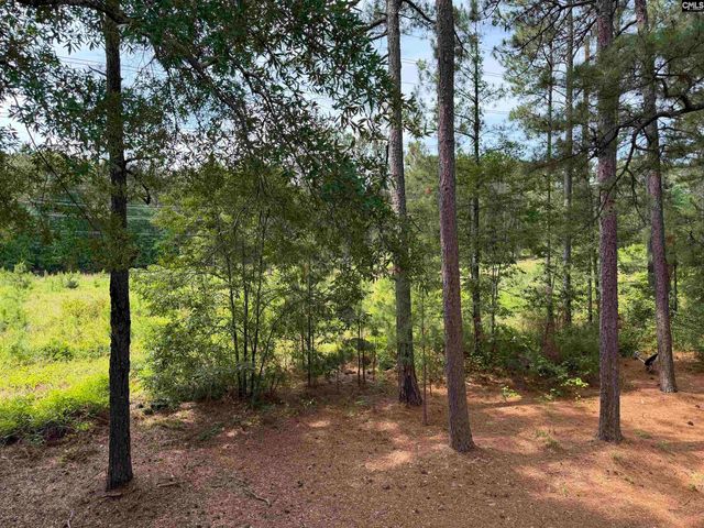 29 Battery Walk Court, Columbia, SC 29212