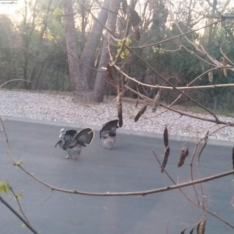 91 Diana Way, Antioch, CA 94509