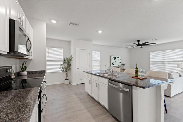 10823 TRAILING VINE DRIVE, Tampa, FL 33610