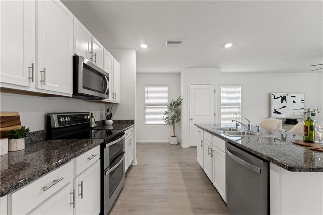 10823 TRAILING VINE DRIVE, Tampa, FL 33610
