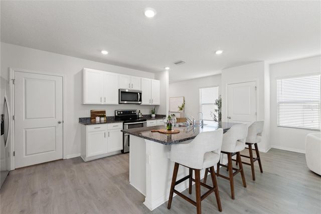 10823 TRAILING VINE DRIVE, Tampa, FL 33610