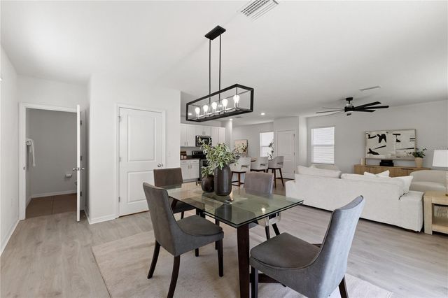10823 TRAILING VINE DRIVE, Tampa, FL 33610