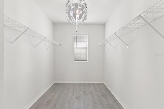 10823 TRAILING VINE DRIVE, Tampa, FL 33610