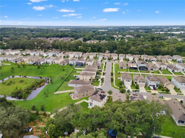 10823 TRAILING VINE DRIVE, Tampa, FL 33610