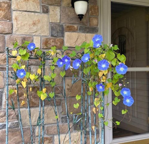 9251 227th Street Court N, Forest Lake, MN 55025