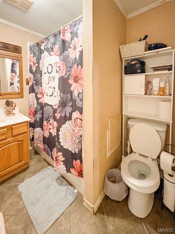 604 Hoffman Street, Leadwood, MO 63653