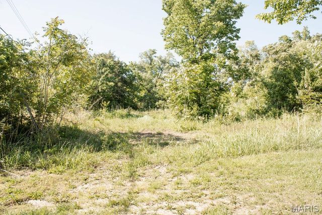 604 Hoffman Street, Leadwood, MO 63653