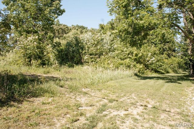 604 Hoffman Street, Leadwood, MO 63653