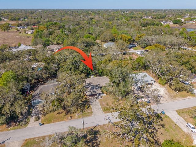 1101 DAGMAR AVENUE, Spring Hill, FL 34606