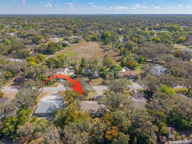 1101 DAGMAR AVENUE, Spring Hill, FL 34606