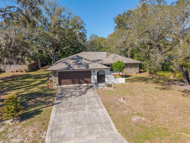 1101 DAGMAR AVENUE, Spring Hill, FL 34606