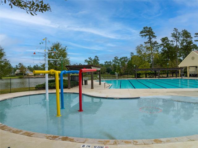 4227 Maple Rapids Lane, Spring, TX 77386