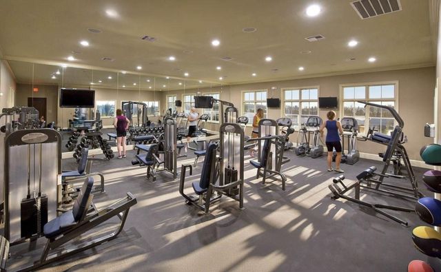 4227 Maple Rapids Lane, Spring, TX 77386