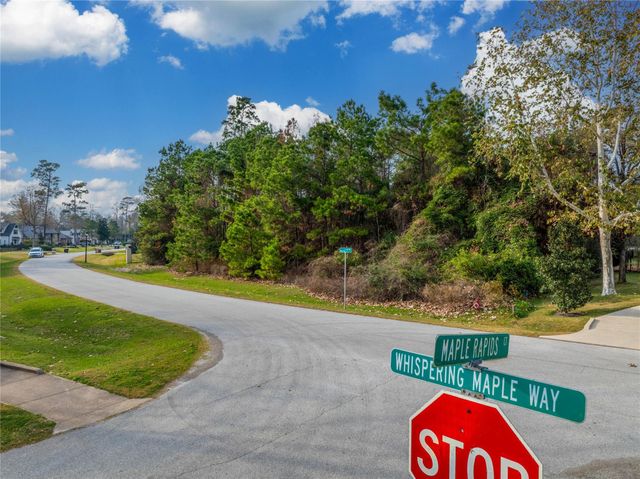 4227 Maple Rapids Lane, Spring, TX 77386