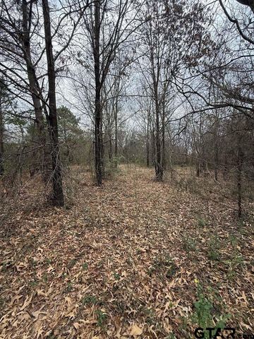 000 FM 16, Lindale, TX 75771