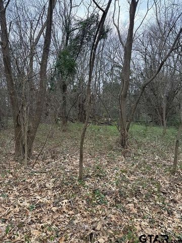 000 FM 16, Lindale, TX 75771