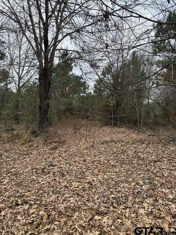 000 FM 16, Lindale, TX 75771