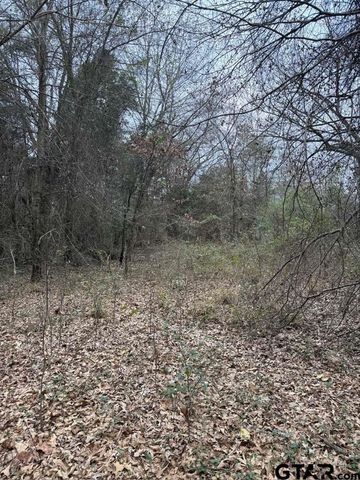 000 FM 16, Lindale, TX 75771