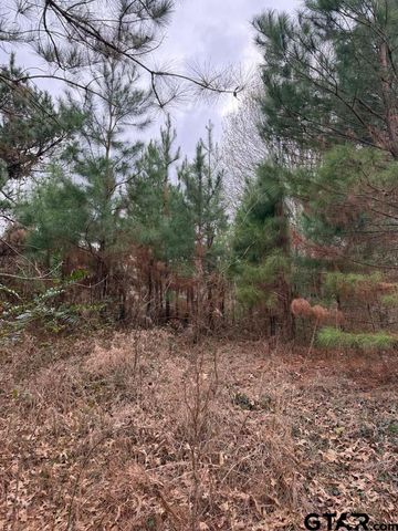000 FM 16, Lindale, TX 75771