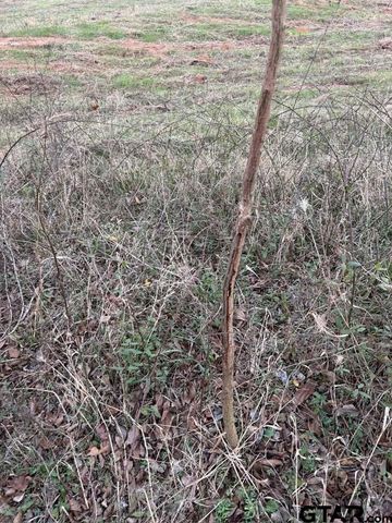 000 FM 16, Lindale, TX 75771