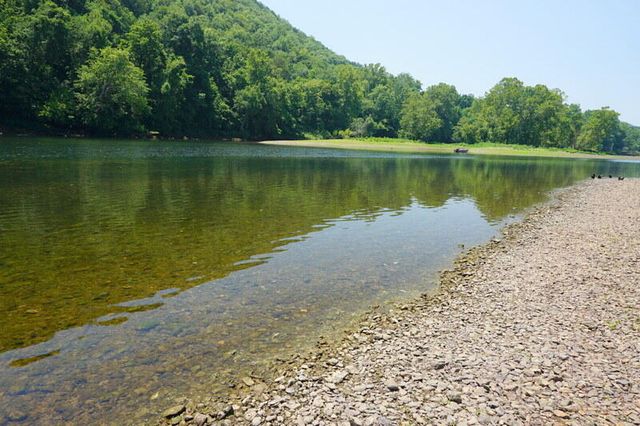 189 Avondale Drive 6, Branson, MO 65616