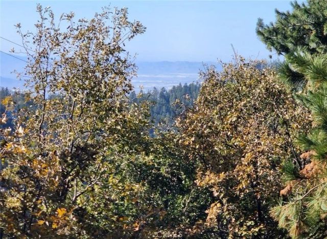 900 Lo, Twin Peaks, CA 92391
