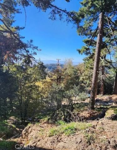 900 Lo, Twin Peaks, CA 92391