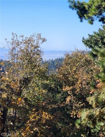 900 Lo, Twin Peaks, CA 92391