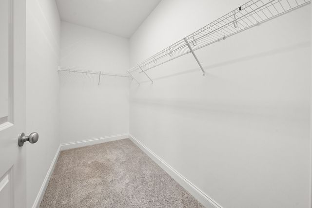 804 Jersey Dr, Clarksville, TN 37043