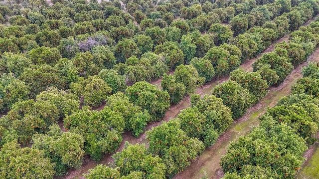 14721 E Tulare Avenue, Sanger, CA 93657