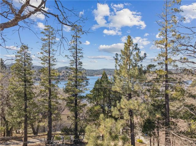 28994 North Shore, Lake Arrowhead, CA 92352